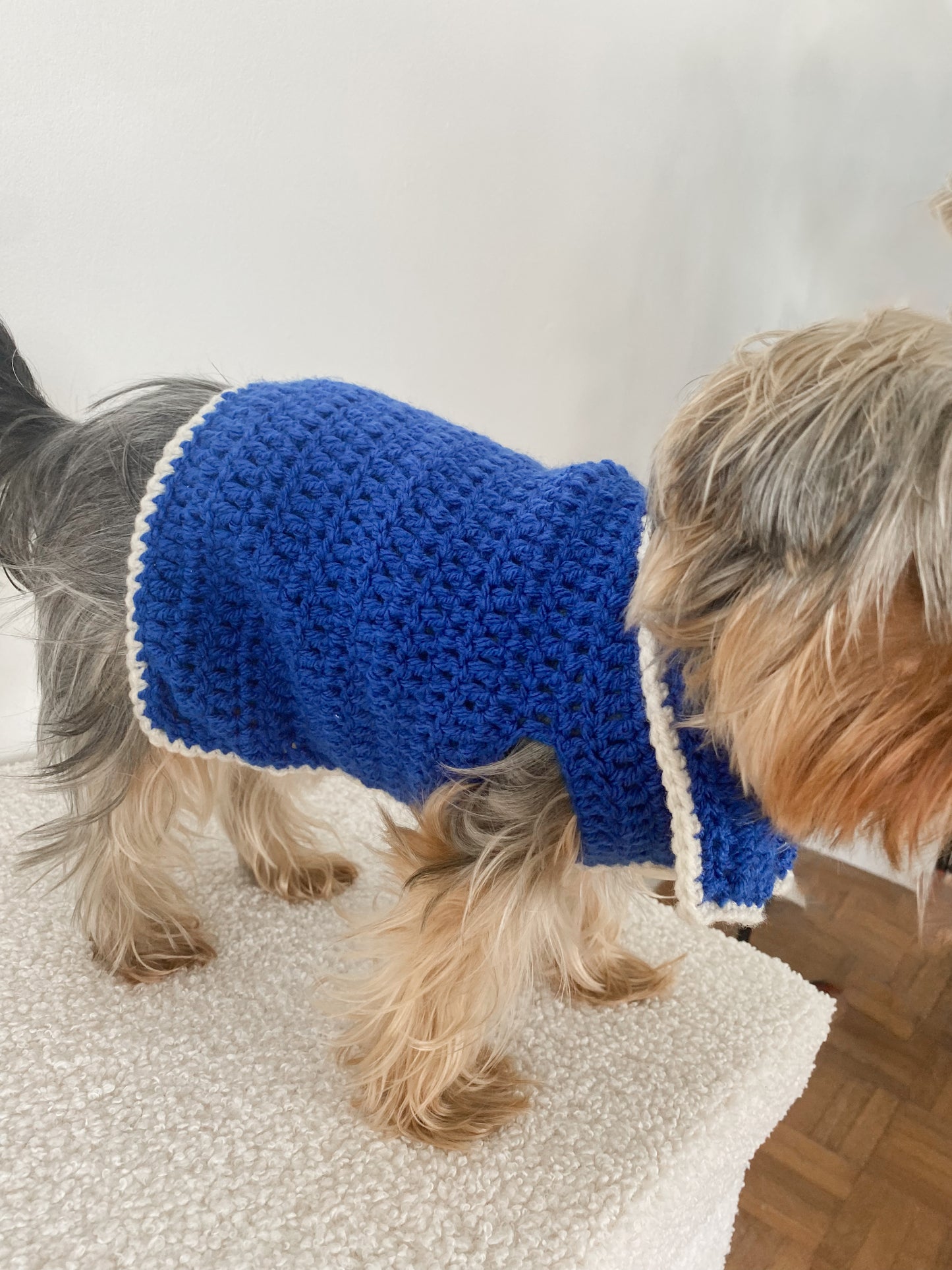 Sapphire Cuddle - Blue Sweater
