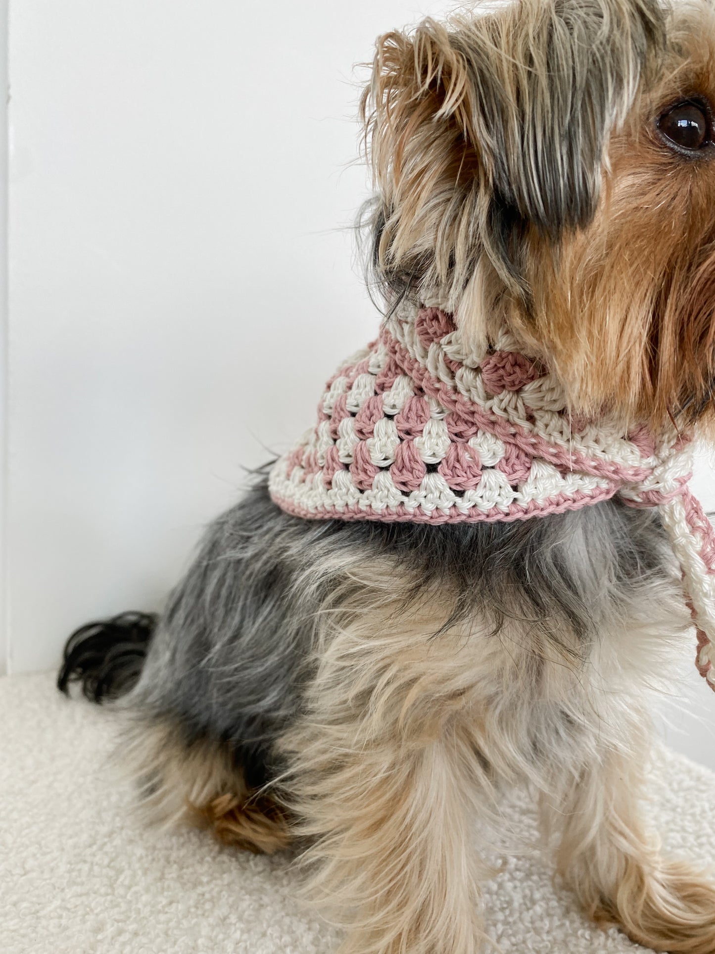 POSH IN PINK