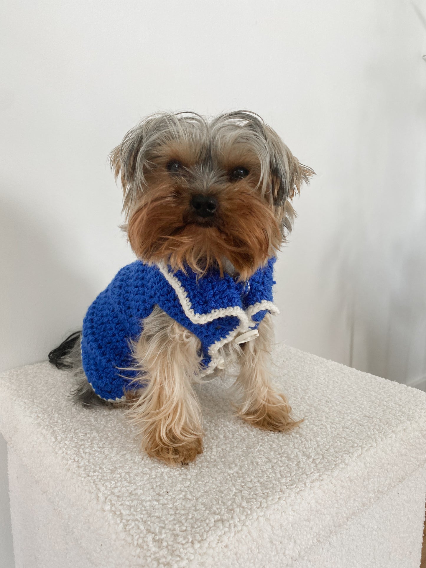 Sapphire Cuddle - Blue Sweater