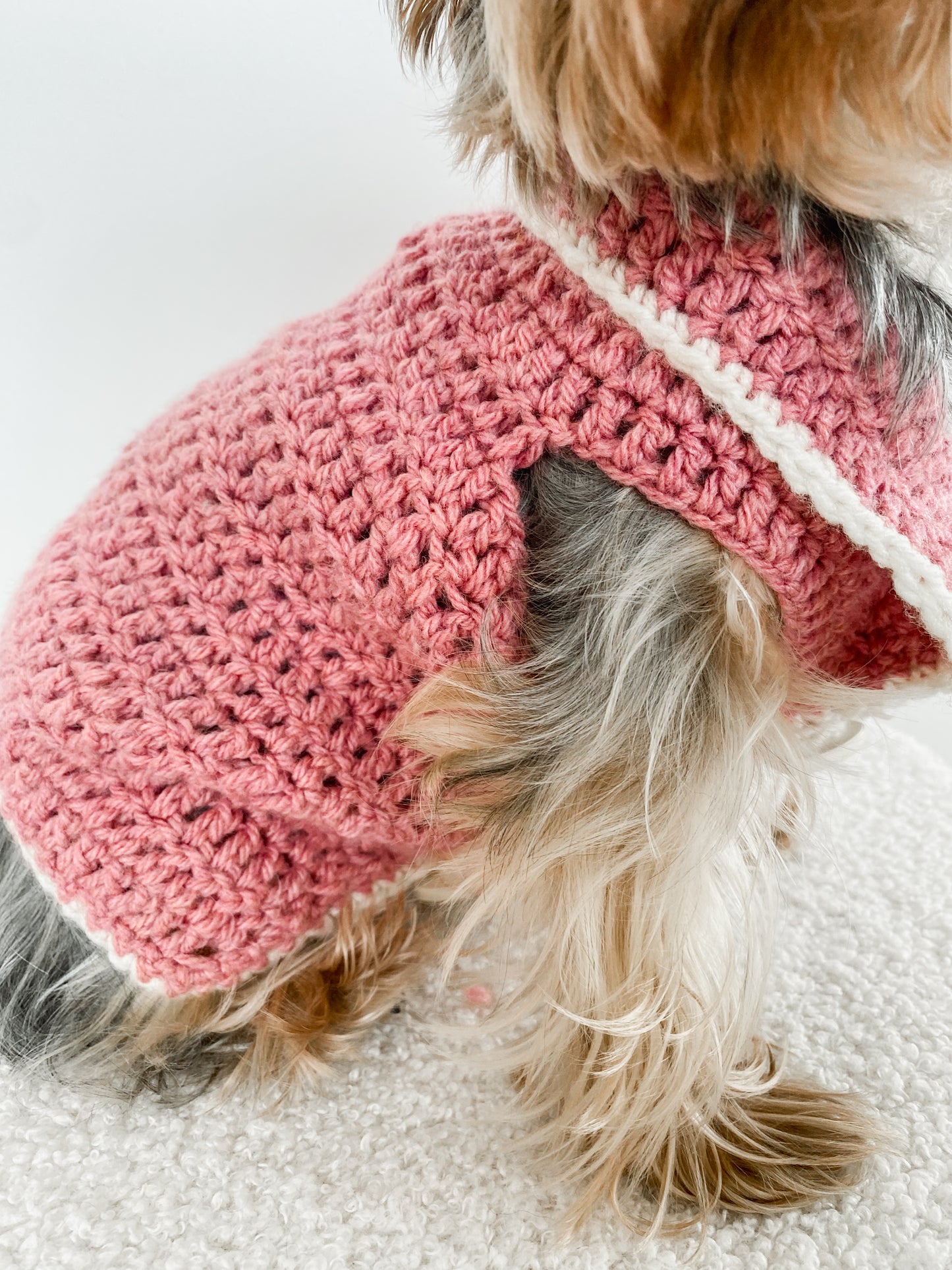 Pretty in Pink - Pink Jacket