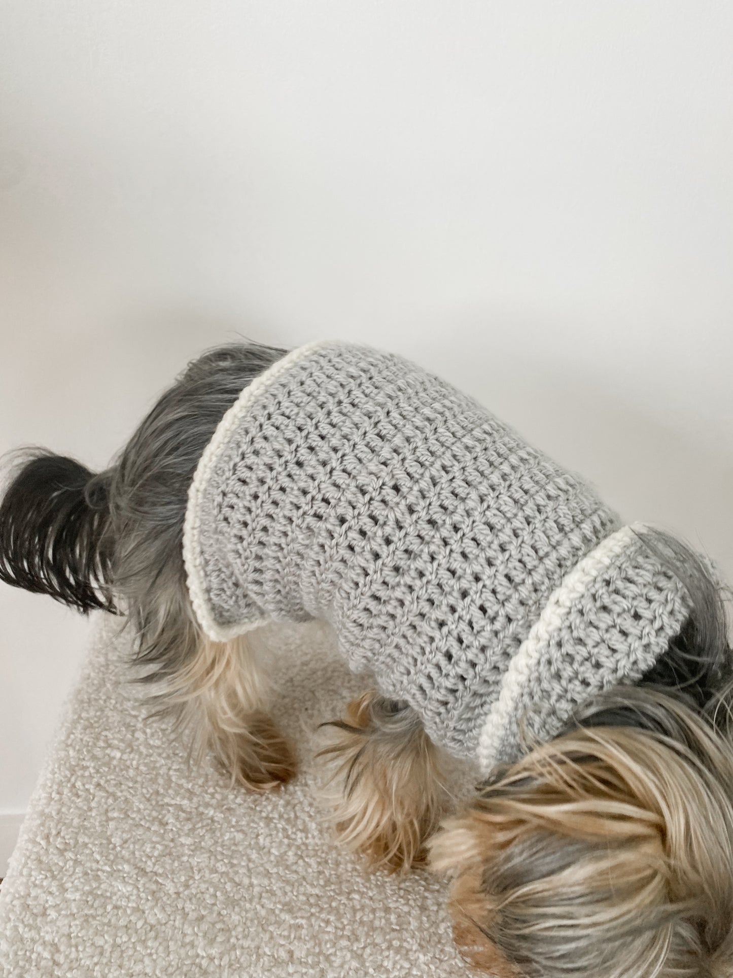 Pebble Paws - Grey Sweater