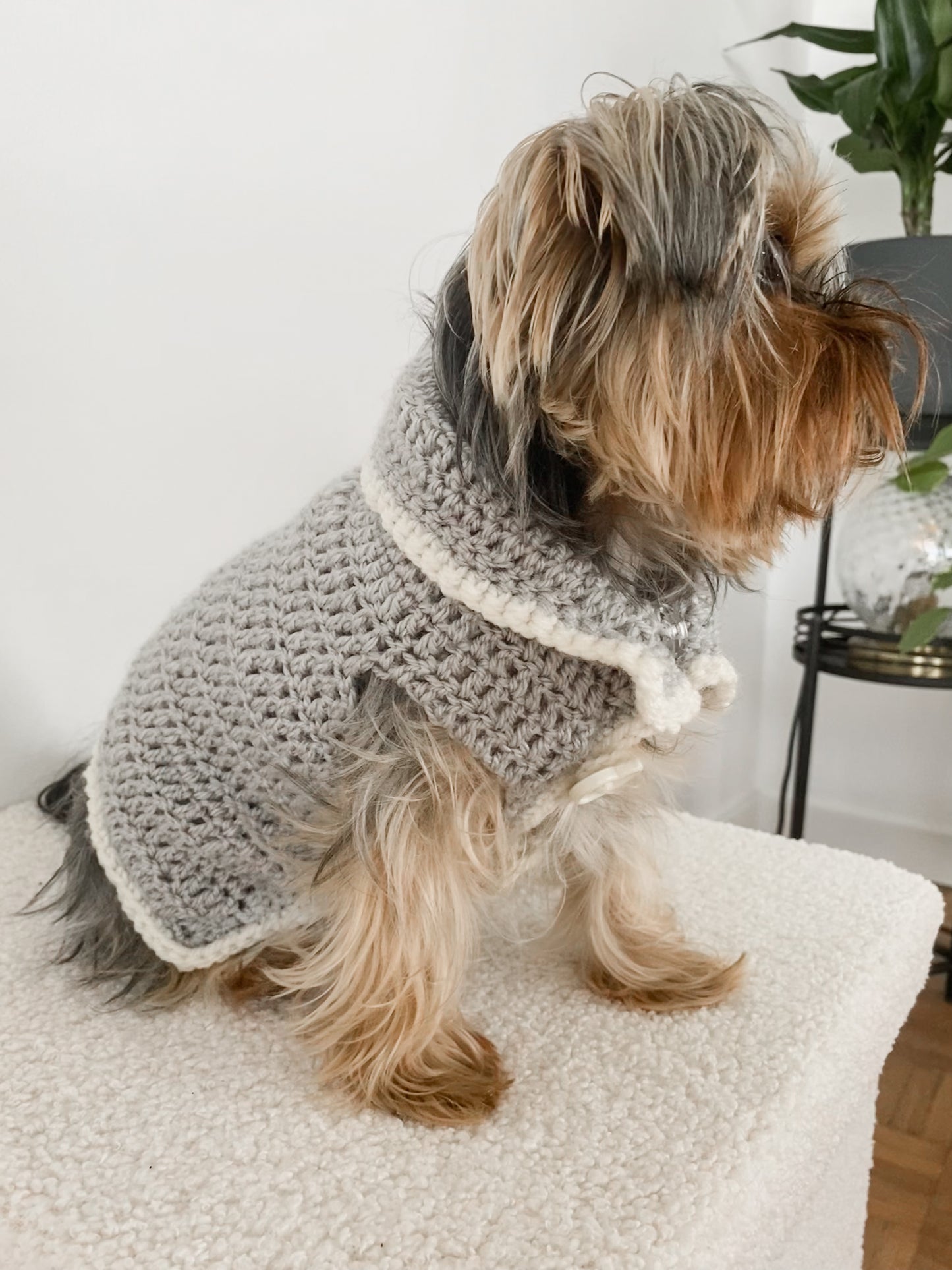 Pebble Paws - Grey Sweater