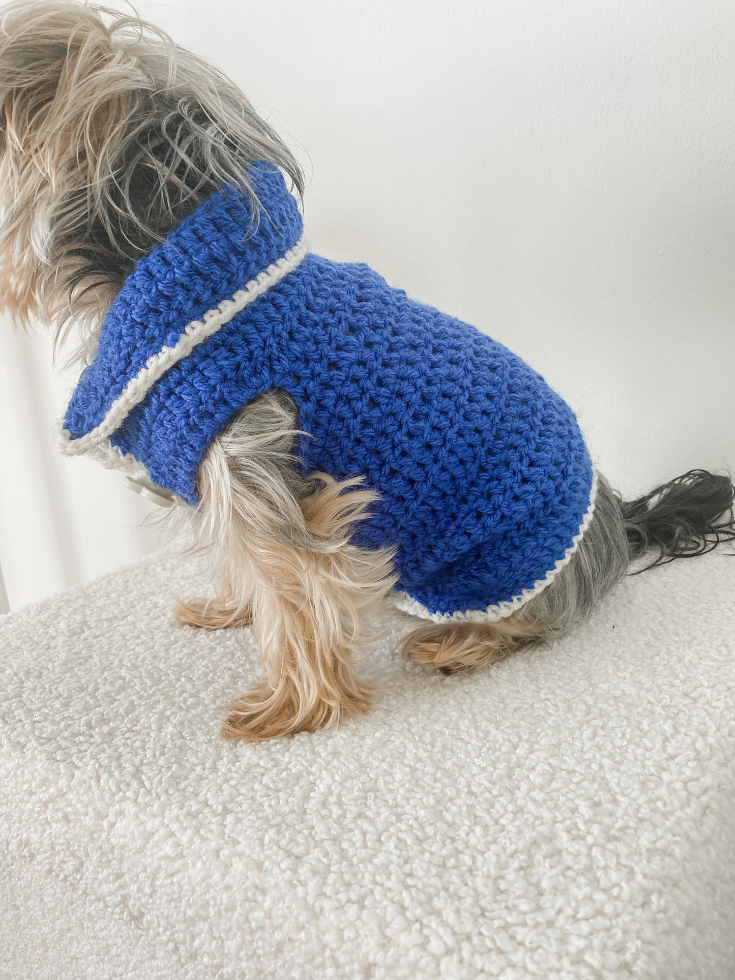 Sapphire Cuddle - Blue Sweater