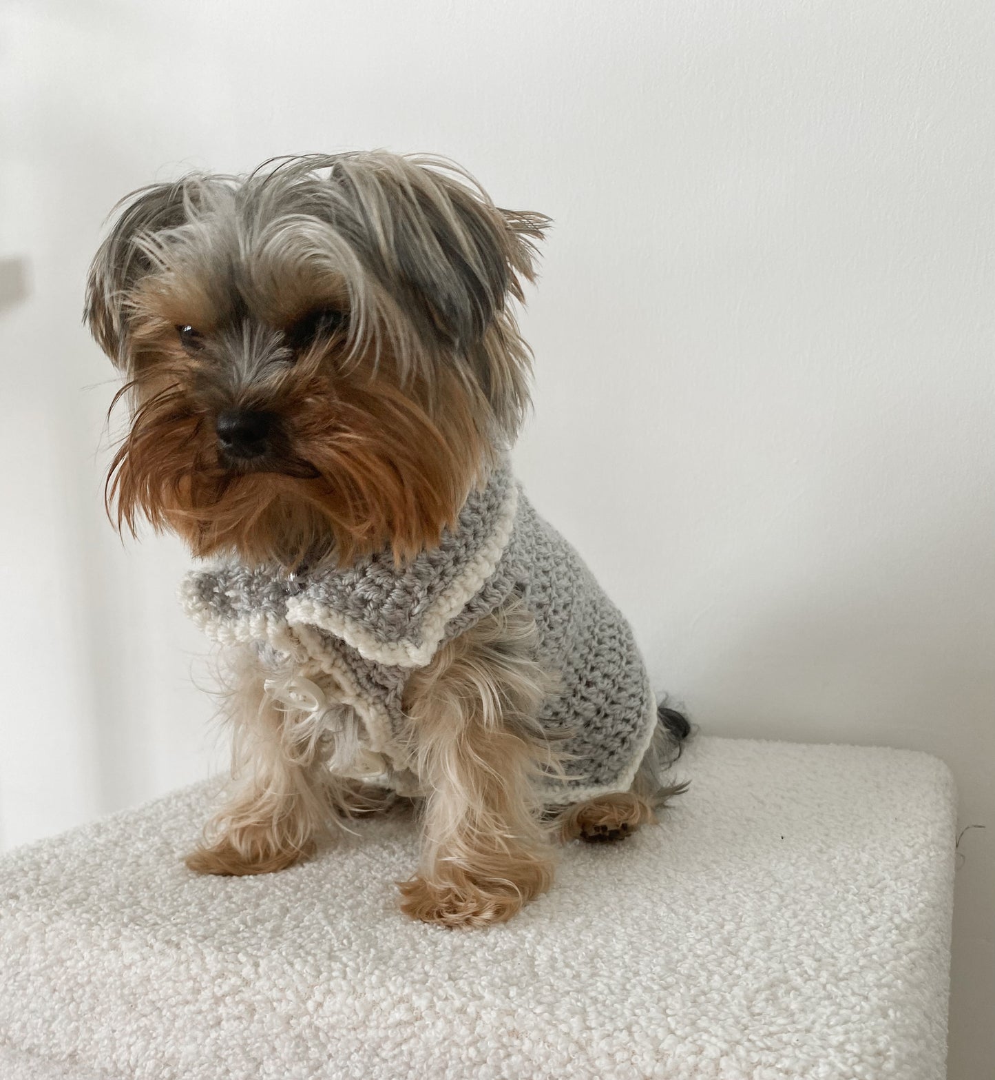 Pebble Paws - Grey Sweater