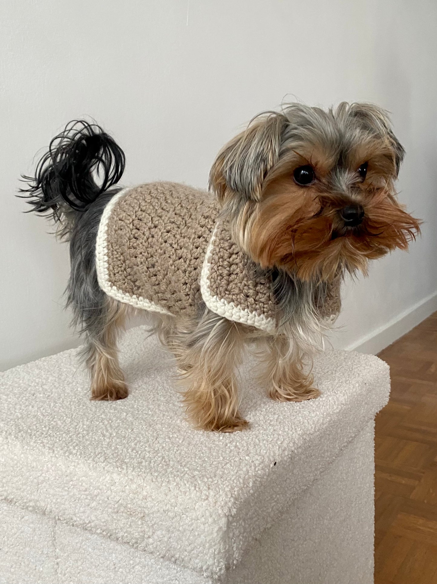 Sandy Snuggles - Beige Sweater