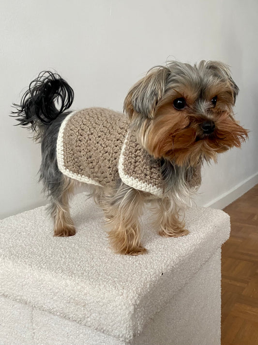 Sandy Snuggles - Beige Sweater