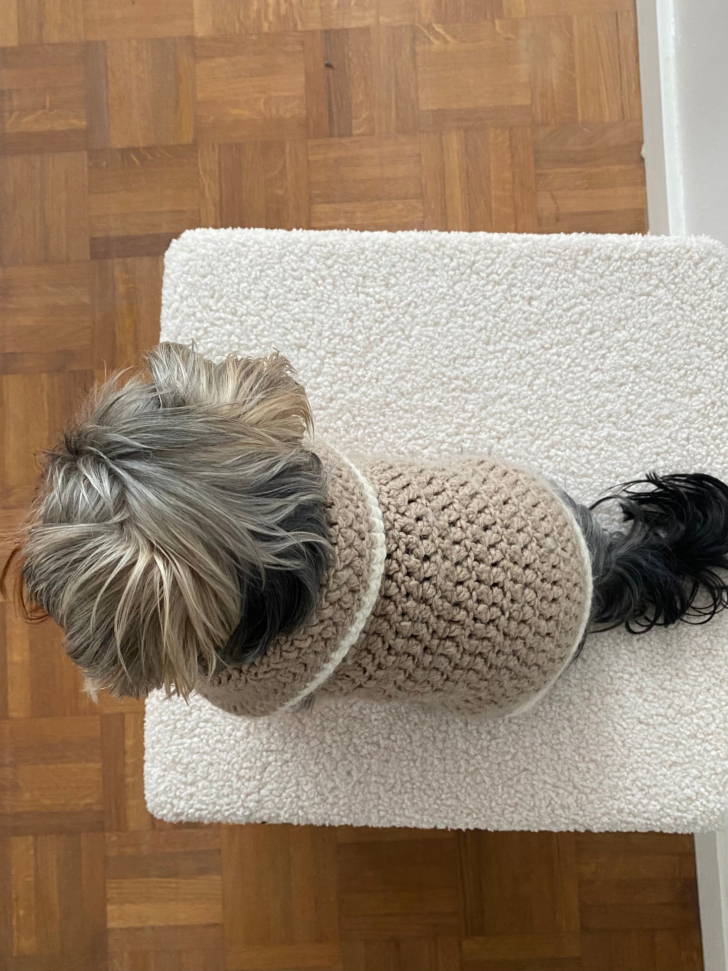 Sandy Snuggles - Beige Sweater