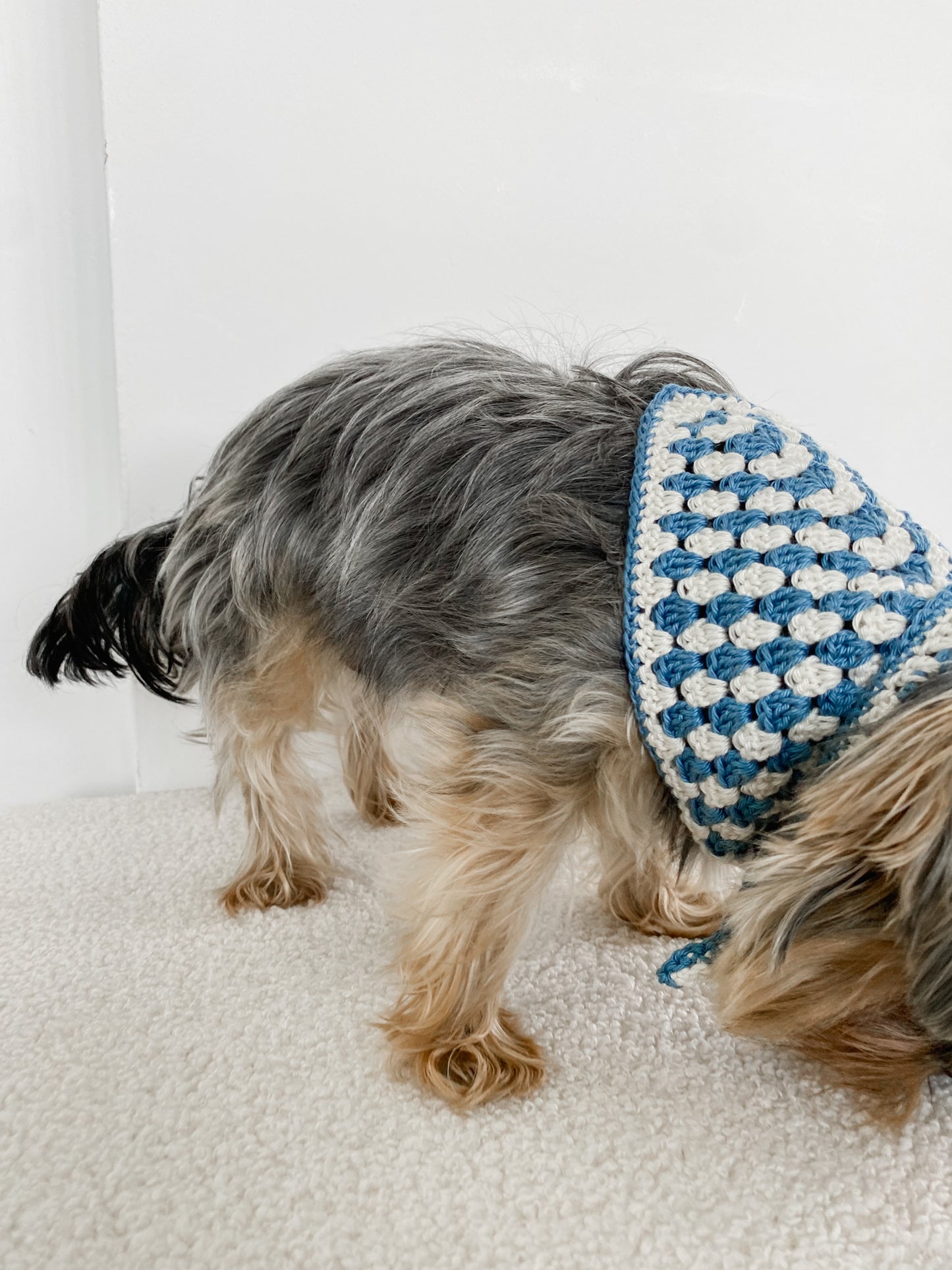 POSH IN BLUE
