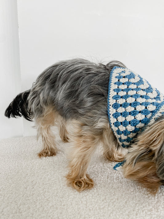 POSH IN BLUE