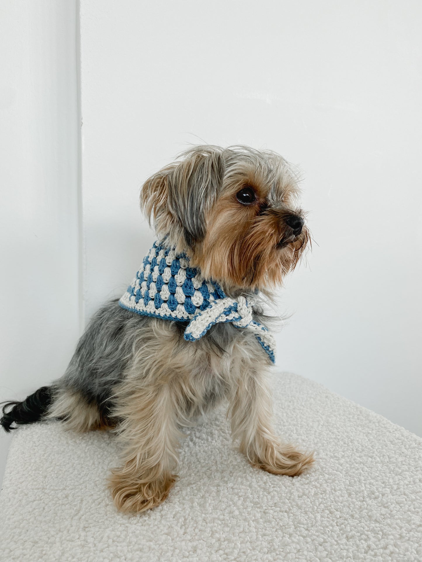POSH IN BLUE