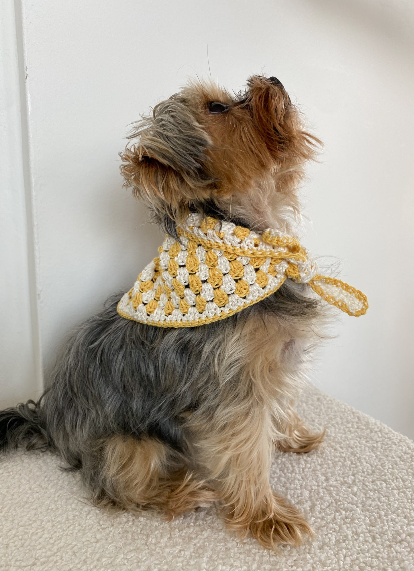 POSH IN YELLOW