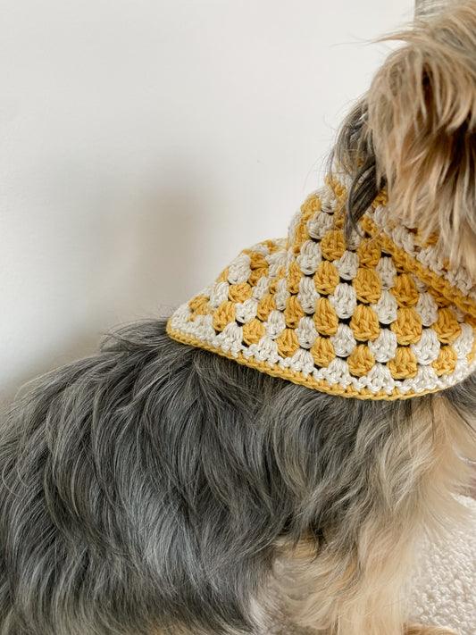 POSH IN YELLOW